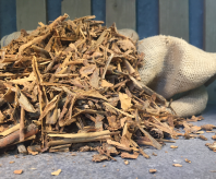 Cinnamon Quillings Srilanka